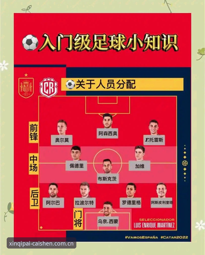 世界杯观赛受阻的实用应对指南——从签证困境看全球赛事体验